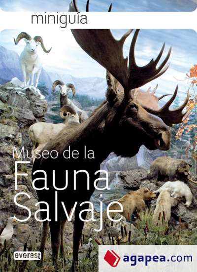 Mini Guía Museo de la Fauna Salvaje