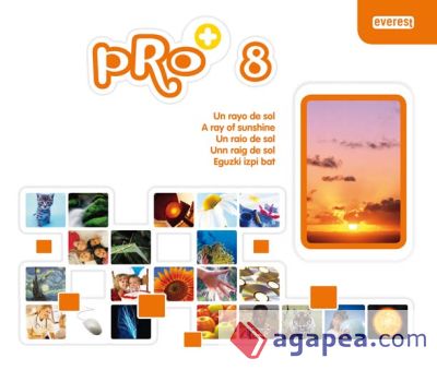 Pro+ 8. Un rayo de sol