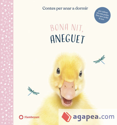 Bona nit, Aneguet