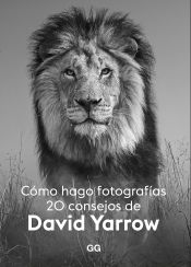 Portada de Cómo hago fotografías 20 consejos