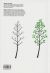 Contraportada de dibujar un árbol, de Bruno Munari