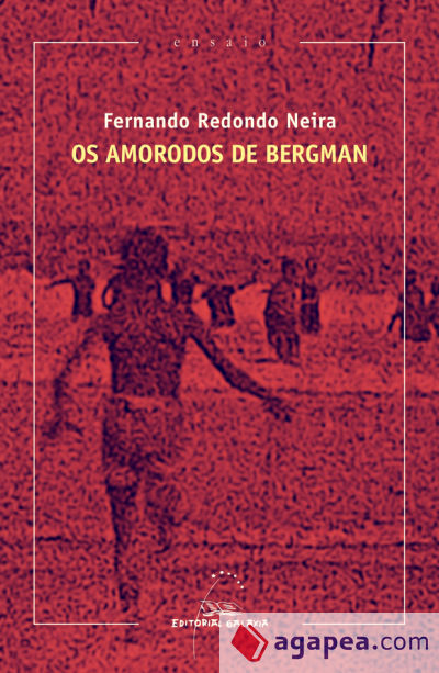 AMORODOS DE BERGMAN, OS (XVIII PREMIO R.PIÑEIRO ENSAIO 2018