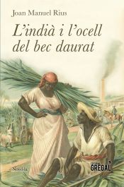 Portada de L'indià i l'ocell del bec daurat