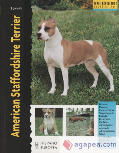 American Staffordshire Terrier