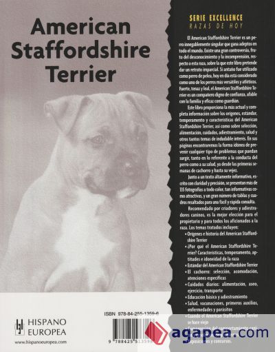 American Staffordshire Terrier