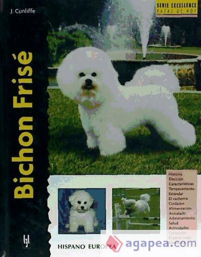 Bichon Frisé