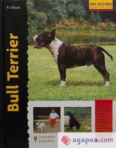 Bull Terrier