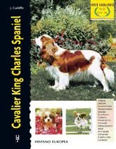 Portada de Cavalier King Charles Spaniel