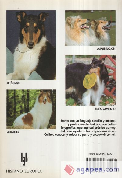 Collie. Manual práctico del