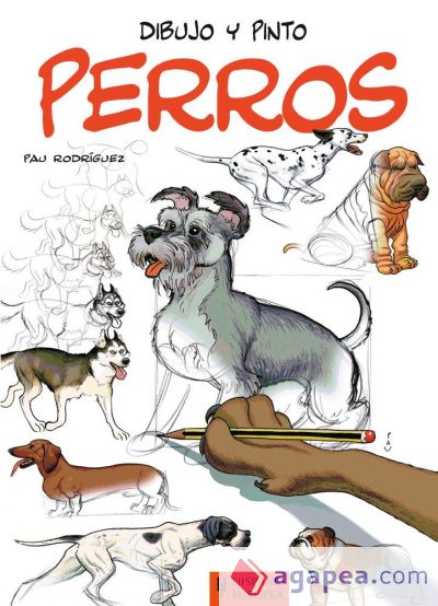 Dibujo y pinto perros