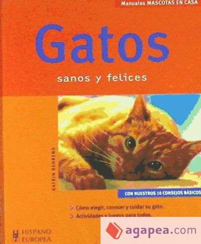 Gatos