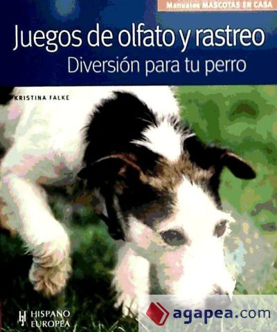 Juegos de olfato y rastreo. Diversión para tu perro