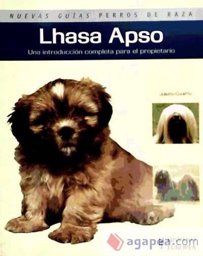 Lhasa Apso