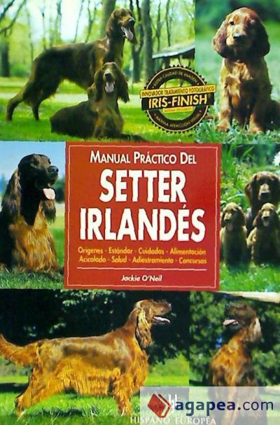 Manual práctico del setter irlandés