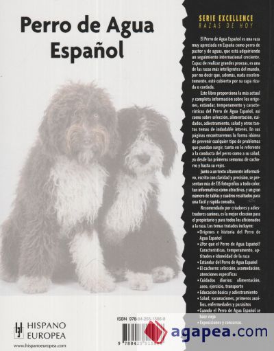 Perro de Agua Español