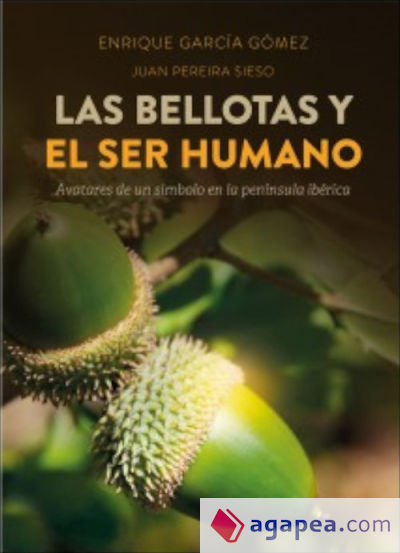 LAS BELLOTAS Y EL SER HUMANO