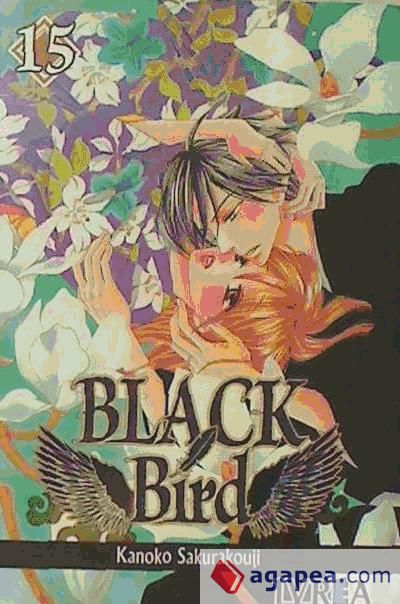 Black Bird 15