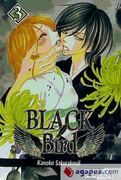 Black bird 03