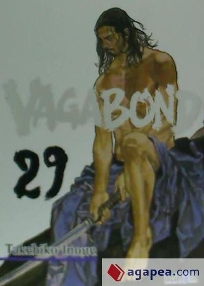 Vagabond 29