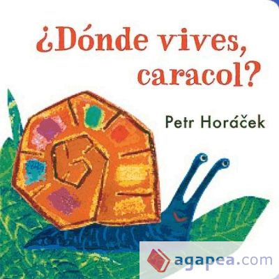 ¿Dónde vives, Caracol?