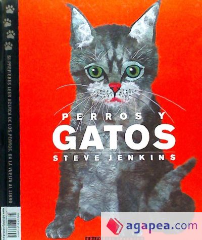 PERROS Y GATOS