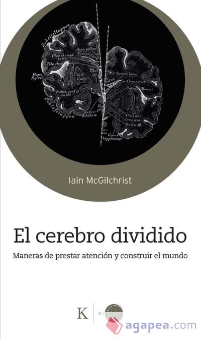 El cerebro dividido