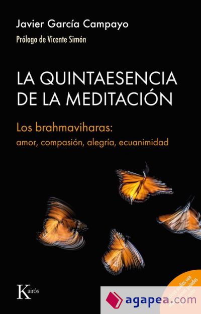 La quintaesencia de la meditación