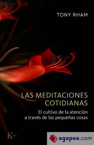 Las meditaciones cotidianas Las meditaciones cotidianas