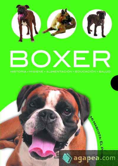 Boxer