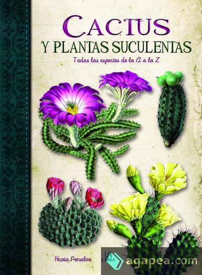 Cactus y Plantas Suculentas: Todas las Especies de la A a la Z