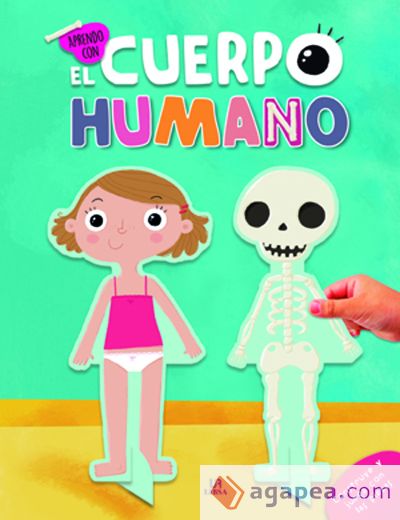 El Cuerpo Humano