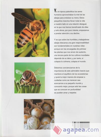 El Libro de las Abejas