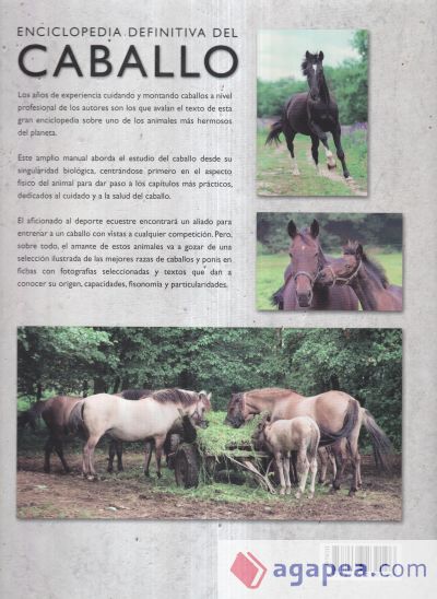 Enciclopedia Definitiva del Caballo