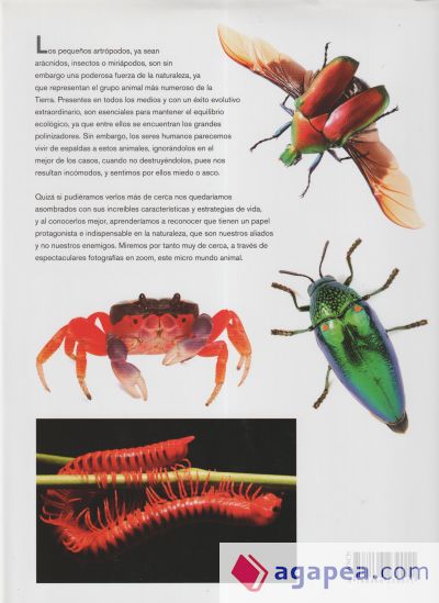 Enciclopedia Ilustrada de Micro Animales: Insectos, Crustáceos, Arácnidos