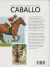 Contraportada de Enciclopedia Práctica del Caballo, de Judith Draper