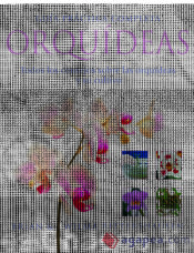 Portada de Guía Práctica Completa Orquídeas