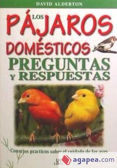 LOS PÁJAROS DOMÉSTICOS. PREGUNTAS Y RESPUESTAS