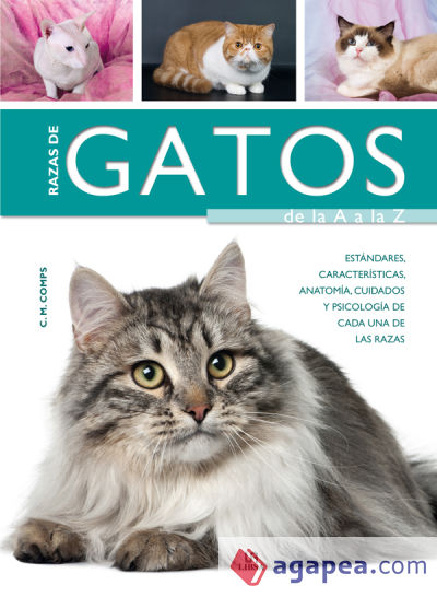 Razas de Gatos de la A a la Z