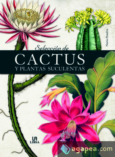 Selección de Cactus y Plantas Suculentas