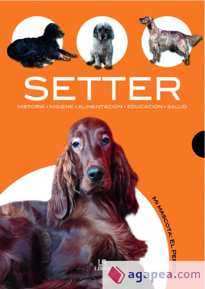 Setter