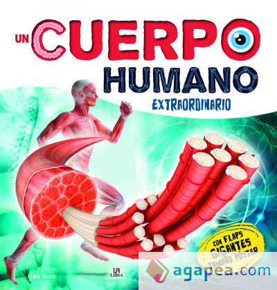 Un Cuerpo Humano Extraordinario