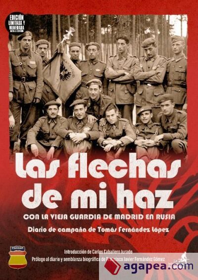 Las flechas de mi haz