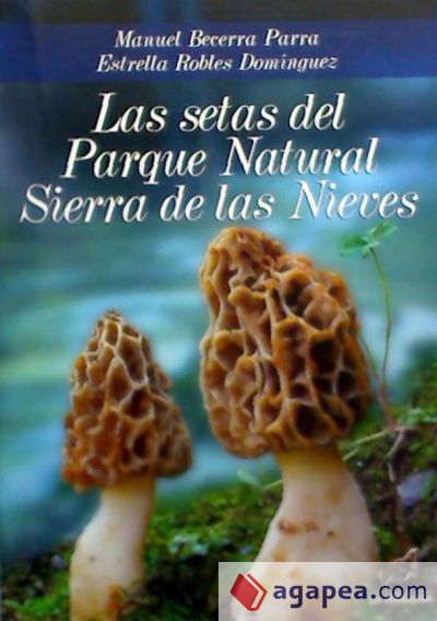 Las setas del Parque Natural Sierra de las Nieves