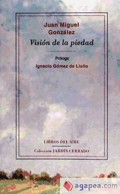 Visión de la piedad