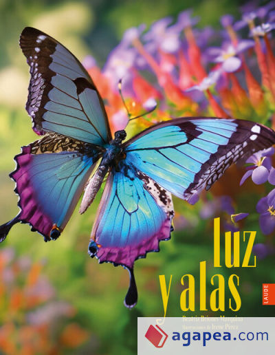 Luz y alas