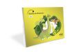 Proyecto: Click. Huellas De Dinosaurio - 5 A&ntilde;os