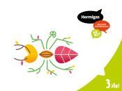 Portada de Proyecto &iquest;Lo ves? - 3 a&ntilde;os : Hormigas