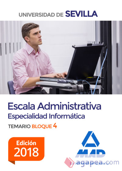 Escala Administrativa (Especialidad Informática) de la Universidad de Sevilla. Bloque IV. Temario