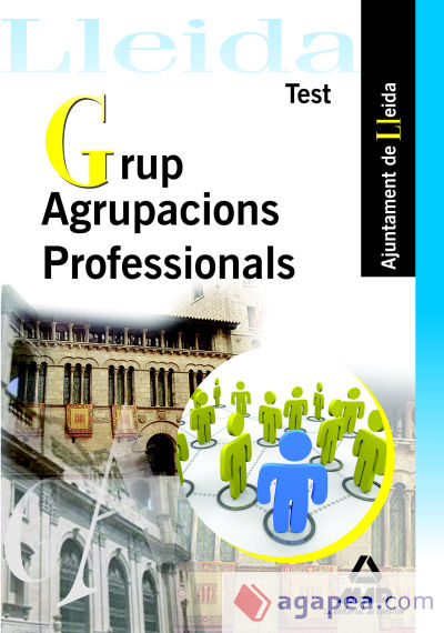 Grup agrupacions professionals ajuntament de lleida. Test