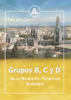 Portada de Grupos b, c y d de la diputacion provincial de burgos. Temario comun